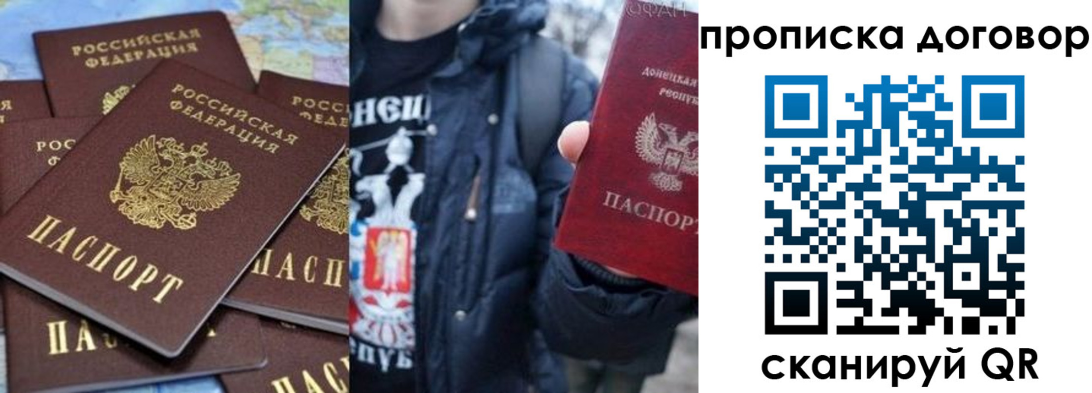 прописка поиск в Вязьме